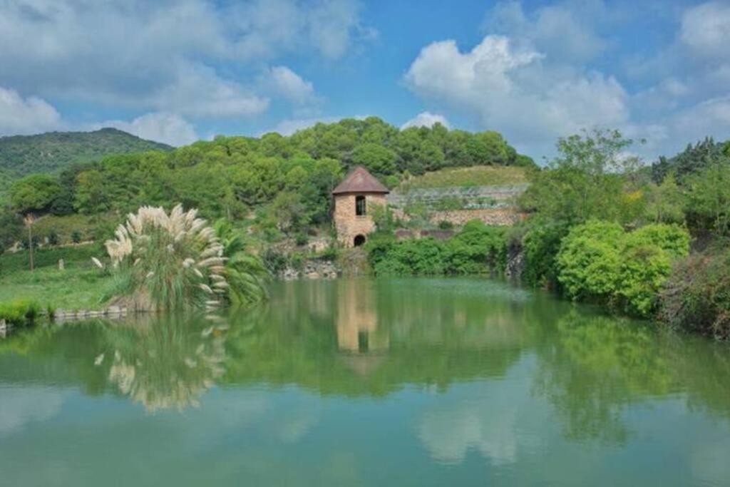 דירות אלייה Beautiful Spot For Remote Work מראה חיצוני תמונה